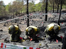 Agentes medioambientales premiados por su labor en favor del patrimonio natural por la UICN