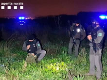 Flaco favor de la Guardia Civil a la defensa de la naturaleza