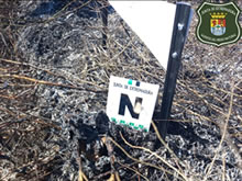 Los Agentes del Medio Natural concluyen que el incendio de Salvatierra fue originado por la electrocución de un ave