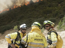 La ley básica de Agentes forestales y Medioambientales, una oportunidad histórica y crucial