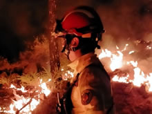 Agentes PREVEX en primera línea: Especialistas en la extinción de incendios en Tenerife