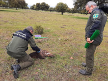 APAMNEX y asociaciones conservacionistas lanzan la voz de alarma sobre el uso de venenos en el campo extremeño