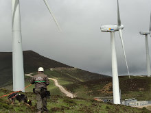 La Plataforma SOS Tendidos Eléctricos reclama la urgente aprobación del decreto destinado a reducir la alta mortalidad de fauna en líneas eléctricas y parques eólicos