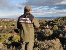 El Gobierno aprueba establecer coeficientes reductores de la edad de jubilación para los agentes forestales y medioambientales