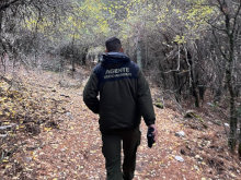 Cuando por fin eres funcionario de carrera, pero la Junta de Andalucía te niega tus derechos, como a trasladarte de provincia y a la conciliación familiar, de por vida