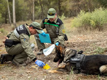 Veinte años de vigilancia en la Región de Murcia de la Brigada de Investigación de Delitos Ambientales
