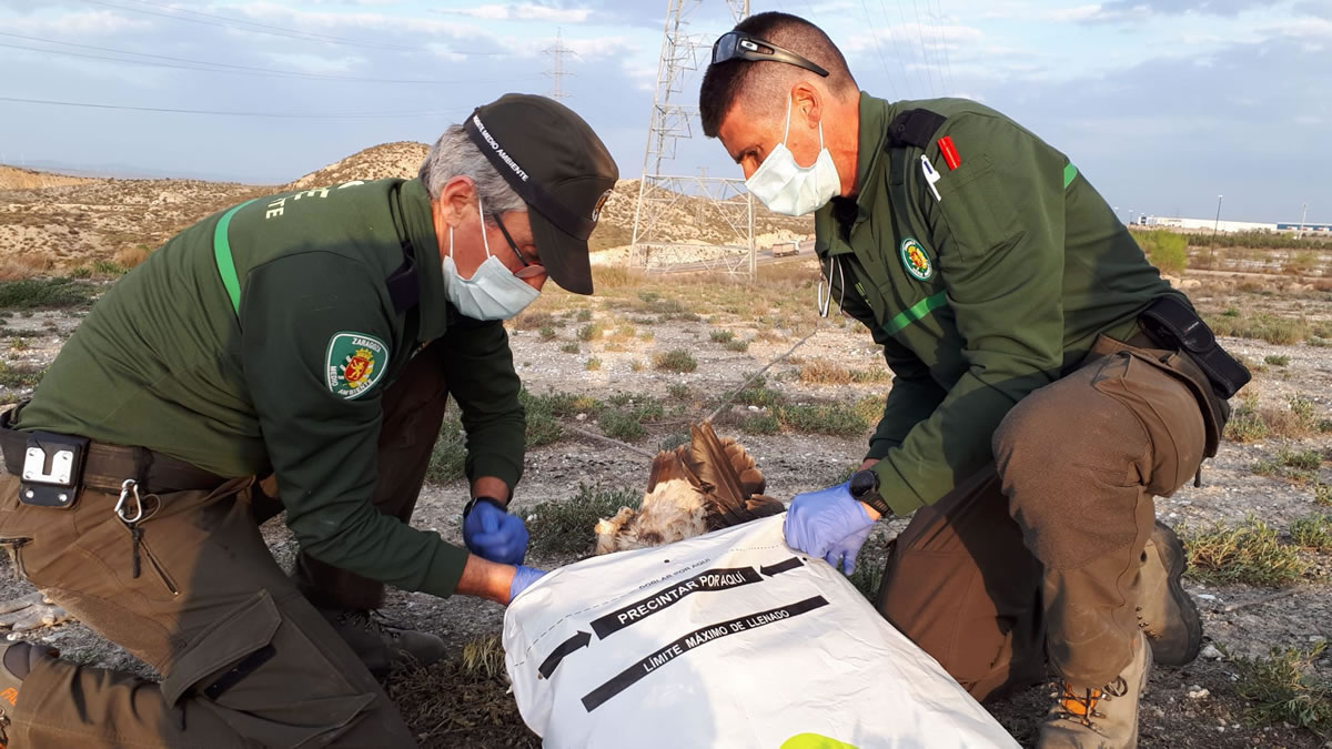 Los agentes forestales y medioambientales reclaman una prevención laboral adaptada a la realidad de su trabajo