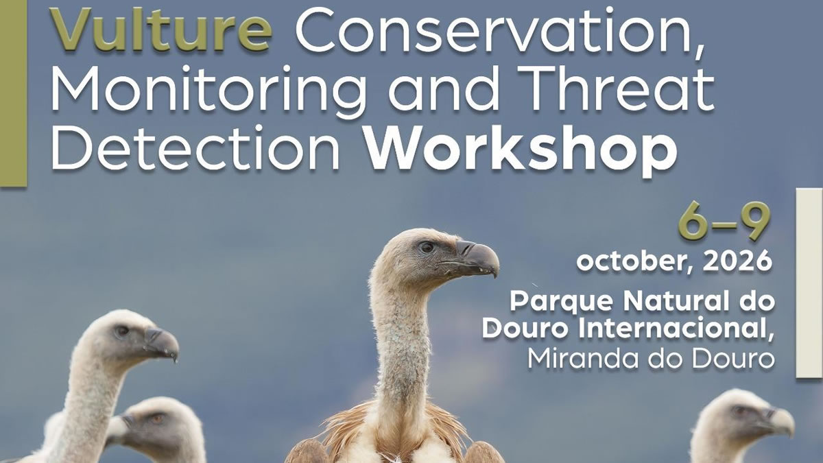 La European Ranger Federation abre la inscripción para un workshop internacional sobre conservación de buitres