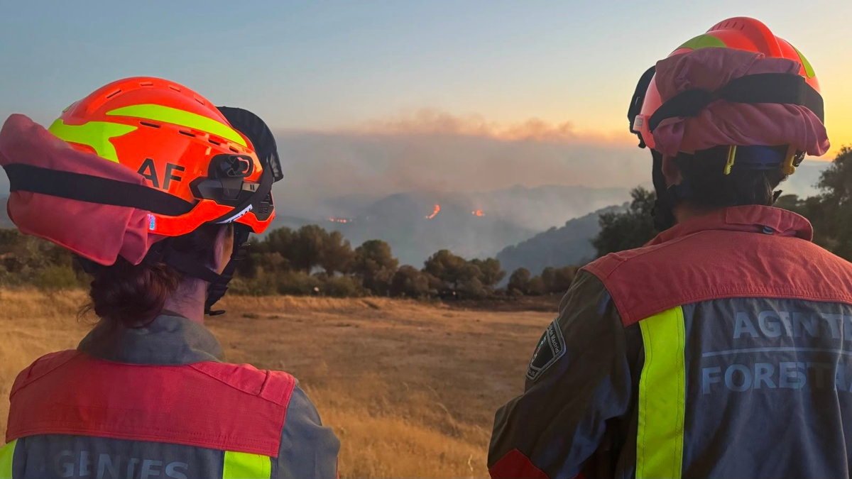 El conocimiento del territorio: la herramienta más valiosa de los Agentes Forestales y Medioambientales frente a los incendios forestales