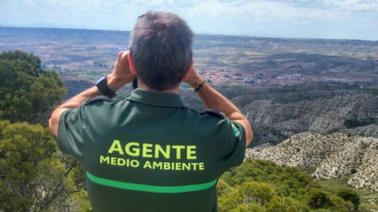 Hablemos de prevención de incendios forestales