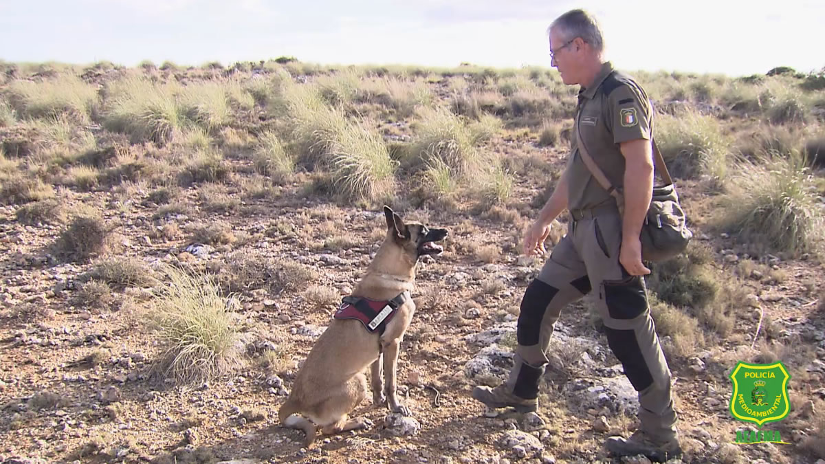 Unidad canina: aliados clave contra el delito ambiental