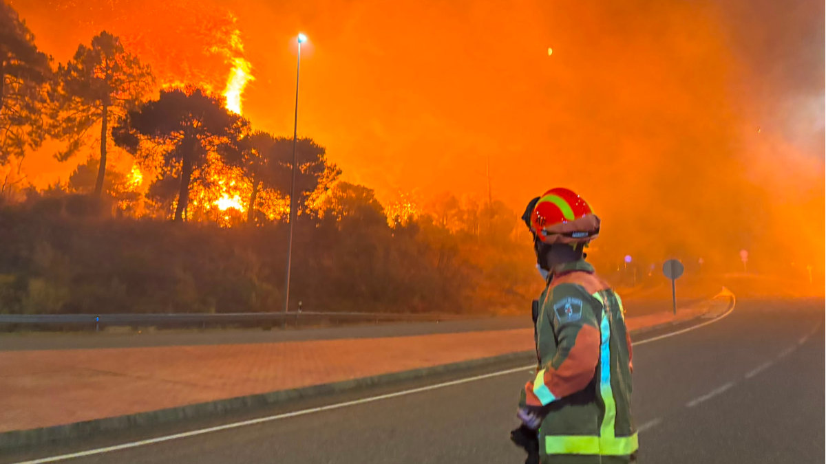 Agentes Forestales y Medioambientales: los imprescindibles que siguen siendo invisibles